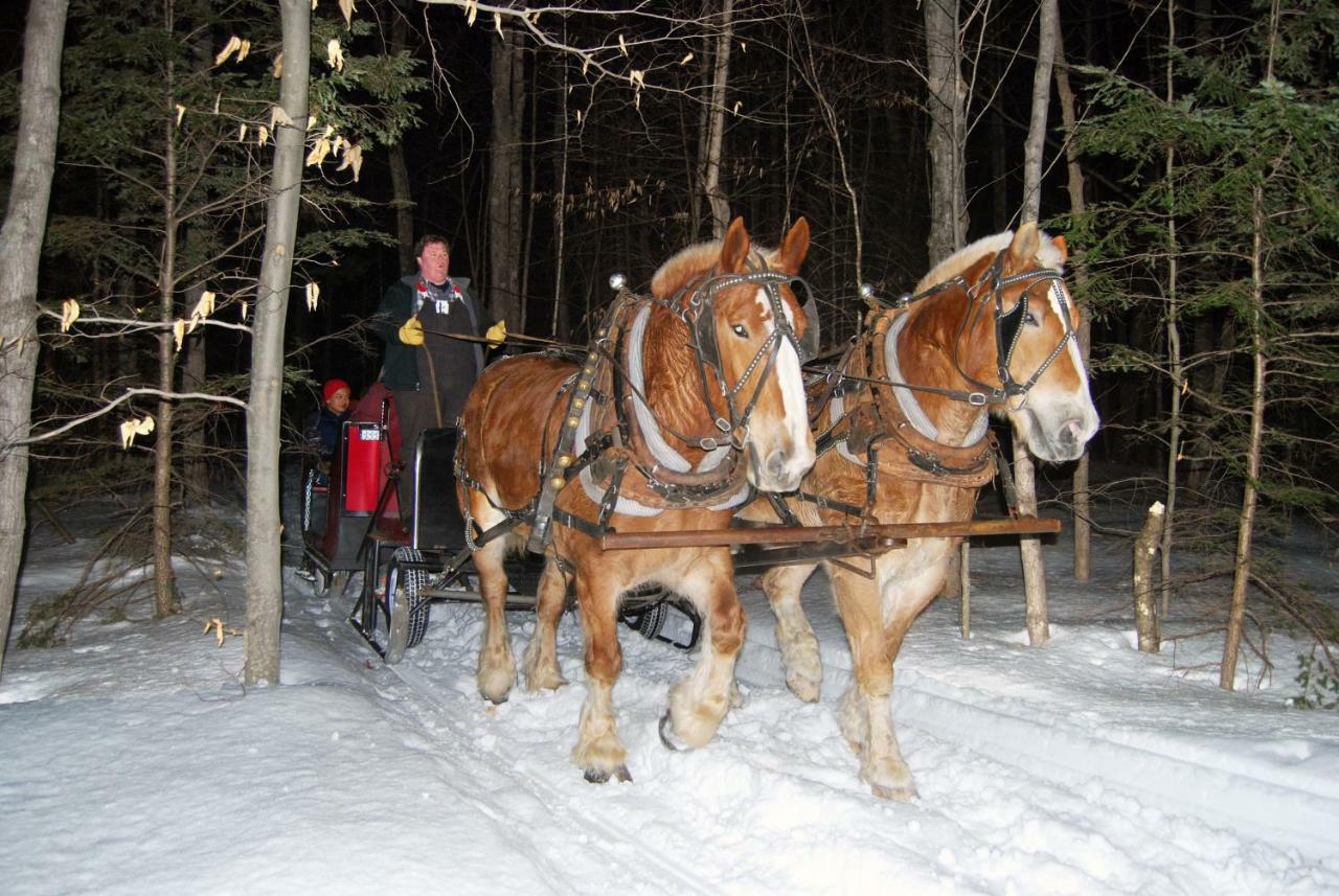 Attitash Mountain Village Bartlett Zewnętrze zdjęcie